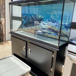 75 Gallon Fish Tank and Stand