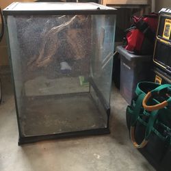 Lizard Cage