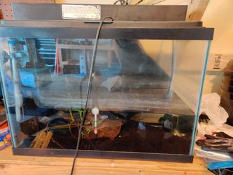 20 gallon tank and supplies