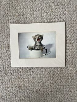 Cat Picture With Framing Matt 