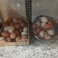 Farm Fresh Chicken Eggs! Available Now 11/22/23