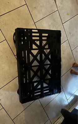 Dolly $40