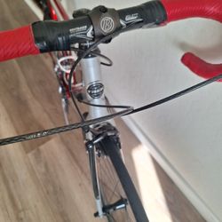 Trek Pilot 2.1  