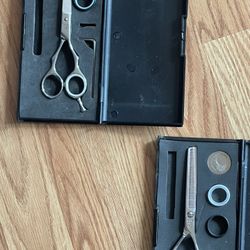 Cricket Hitachi Silver