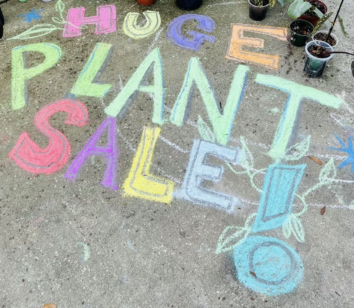 BIG PLANT SALE IN LARGO SATURDAY & SUNDAY