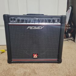 Peavey Envoy 110 (New Speaker)