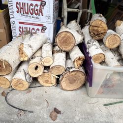 Fresh Cut Birch Wood