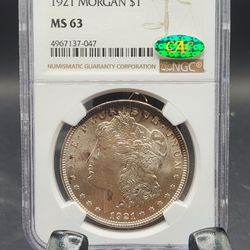 1921  Morgan Silver Dollar  NGC Ms63 Toning CAC