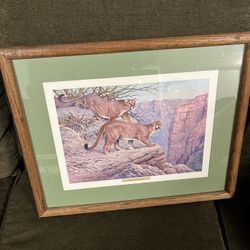 Vintage “MOUNTAIN LION” By M. Kiefer Print in Great Condition 