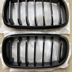 Black Bmw X5 kidney Grills 