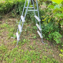 Pool Ladder