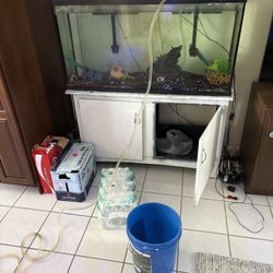 55 Gallon TANK ONLY