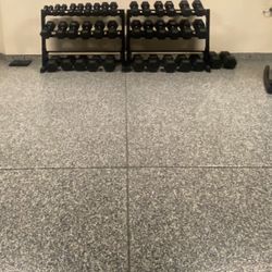 Dumbbells 55lbs-100lbs
