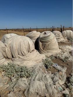 Pollination nets / citrus bee nets