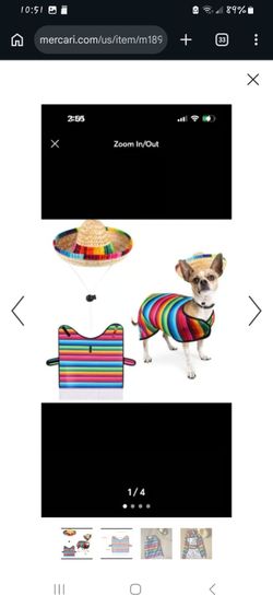 Like new Dog serape and sombrero costume