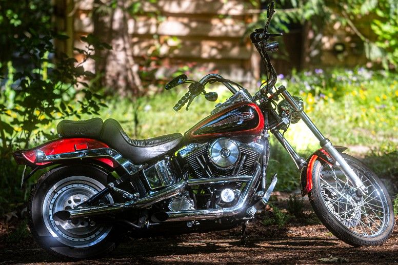 1999 Harley Davidson Softail Custom (FXSTC)
