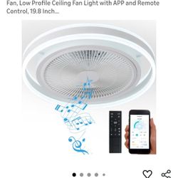 Flushmount Ceiling Fan with Led Light and Remote 