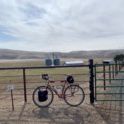 Custom Lugged Reynolds Steel Davidson Sport Touring Bike, 60 Cm.