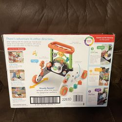 Fisher-Price Baby & Toddler Toy 2-Sided Steady Speed Panda Walker