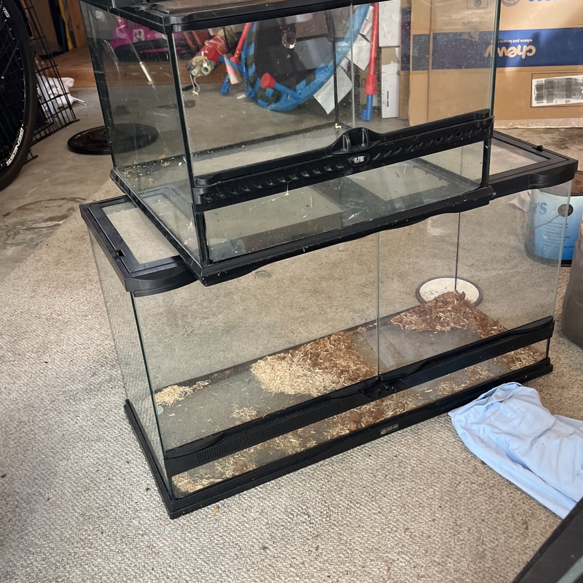 Lizard tanks