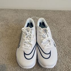 Nike Athletic Men’s Shoe