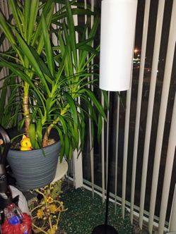 5 feet H metal floor lamp pickup only cash