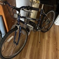 Men’s Magna Oasis 15 Speed Bike 
