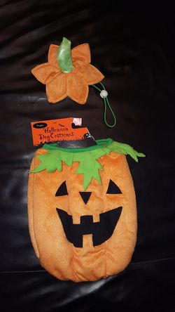 Pumpkin pet Halloween costume size S