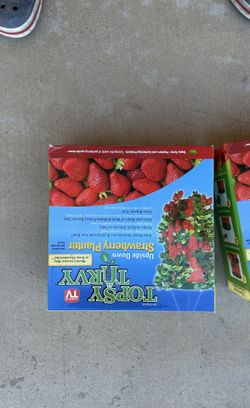 Strawberry Planter