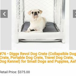 Dog Cage 