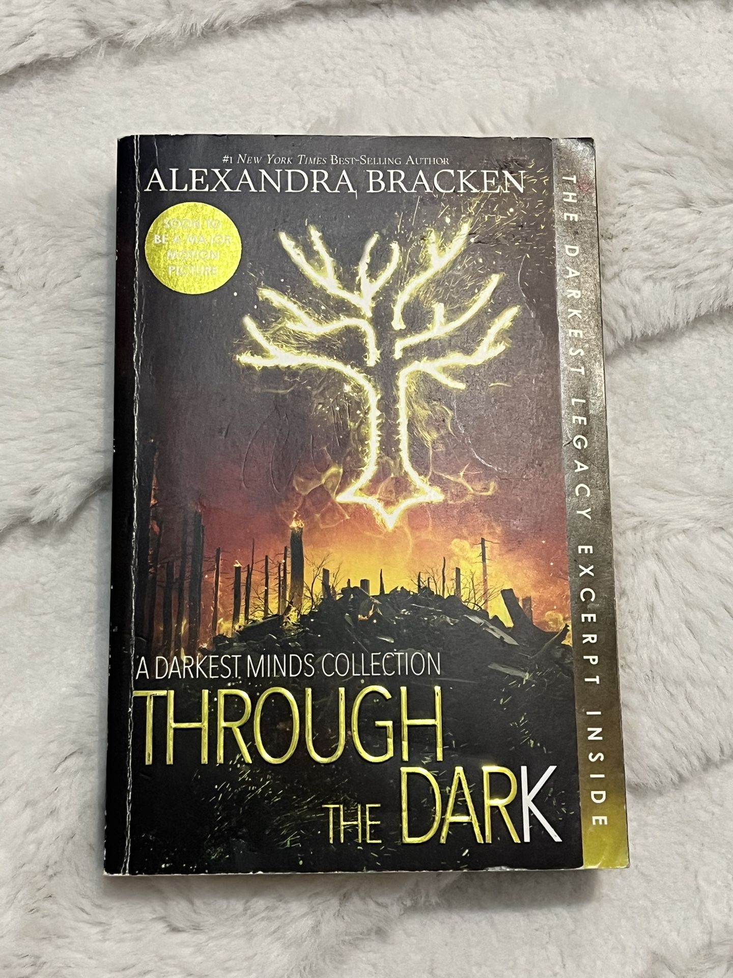 Through The Dark A Darkest Minds Collection By Alexandra Braken