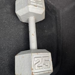 Single 25lb Dumbbell