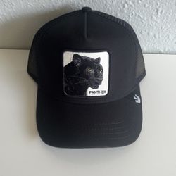 Panther 🐆 Goorin Bros