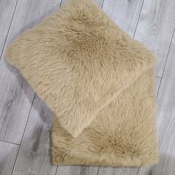 2 Decorative Pillows