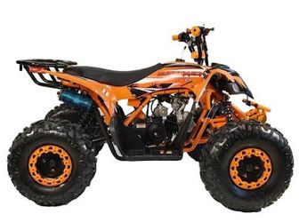 125cc Sports ATV Fully Automatic With Reverse . 