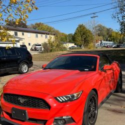 2015 Ford Mustang
