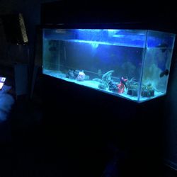 230 Gallon Tank With Canopy Included