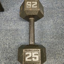 25 Pound Dumbbell 