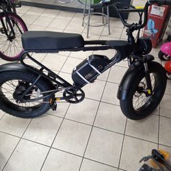 Electric Bike