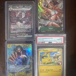 One Piece And Pokemon 