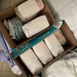 Size 2 Parents Choice Diapers 