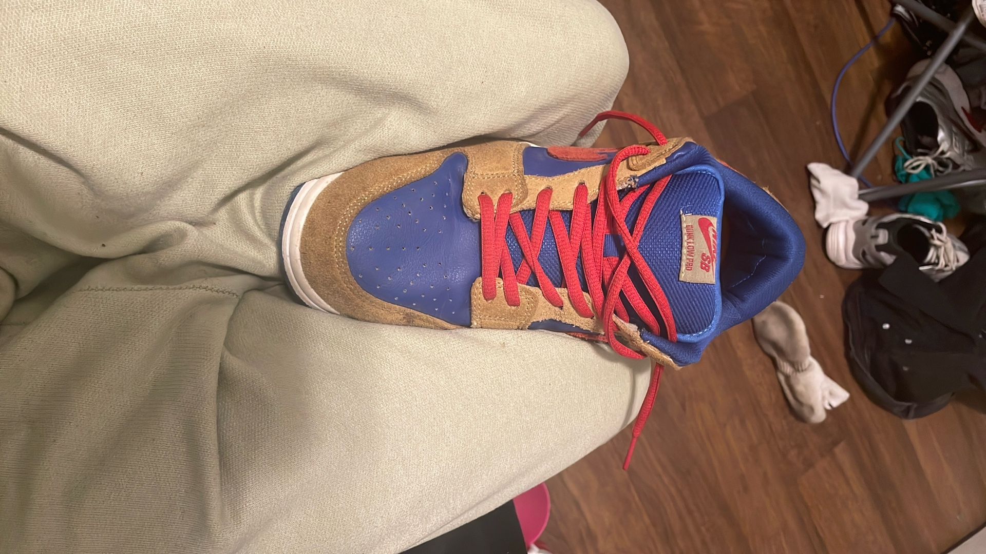 Sb Nike Dunk low pro