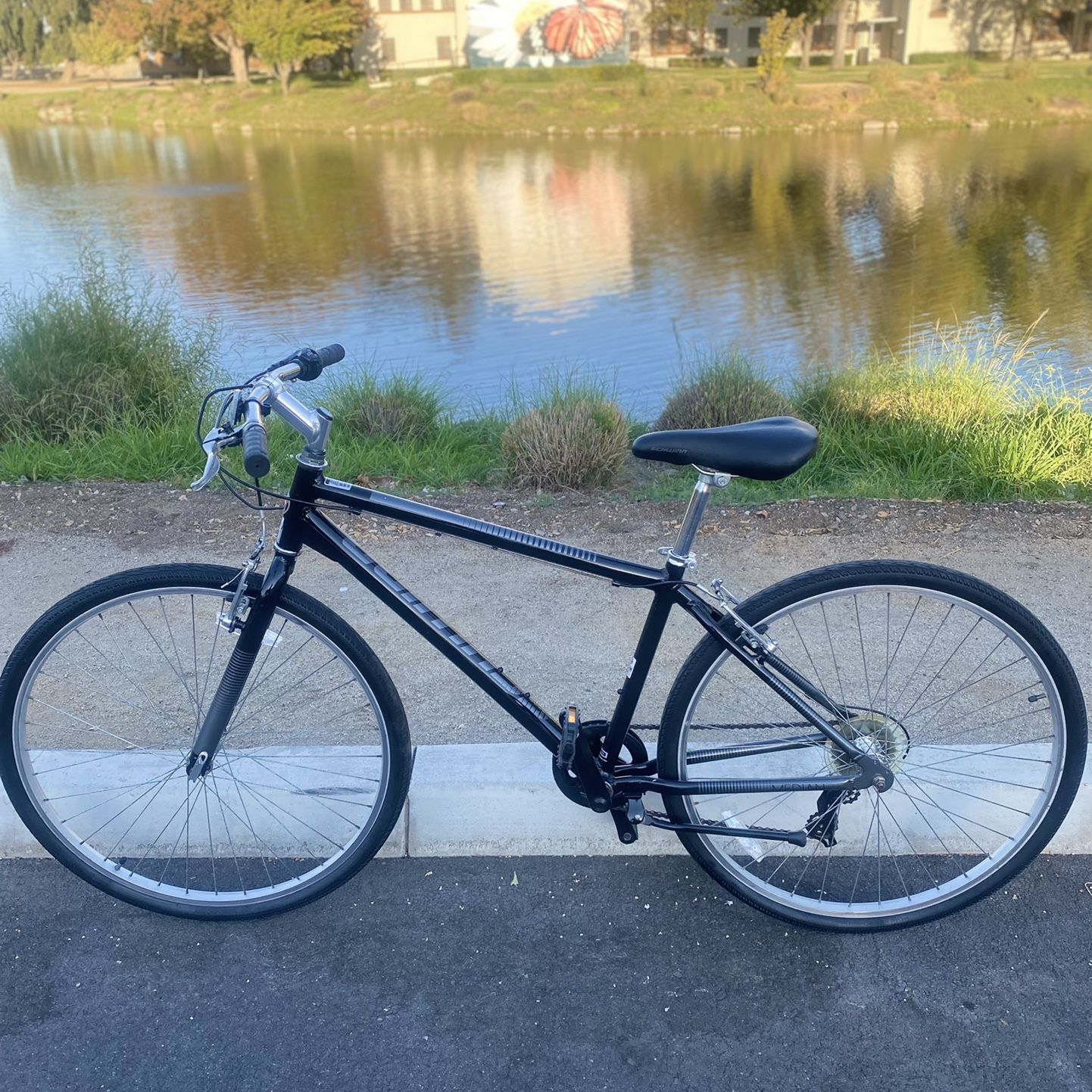 electric 3 wheel bicycles adults eBike Breezy Trike - Copper Size:4L speceoysale24 Wrong lever! 🎢💥 Hold time price.