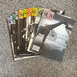 12 Issues Of The Sun