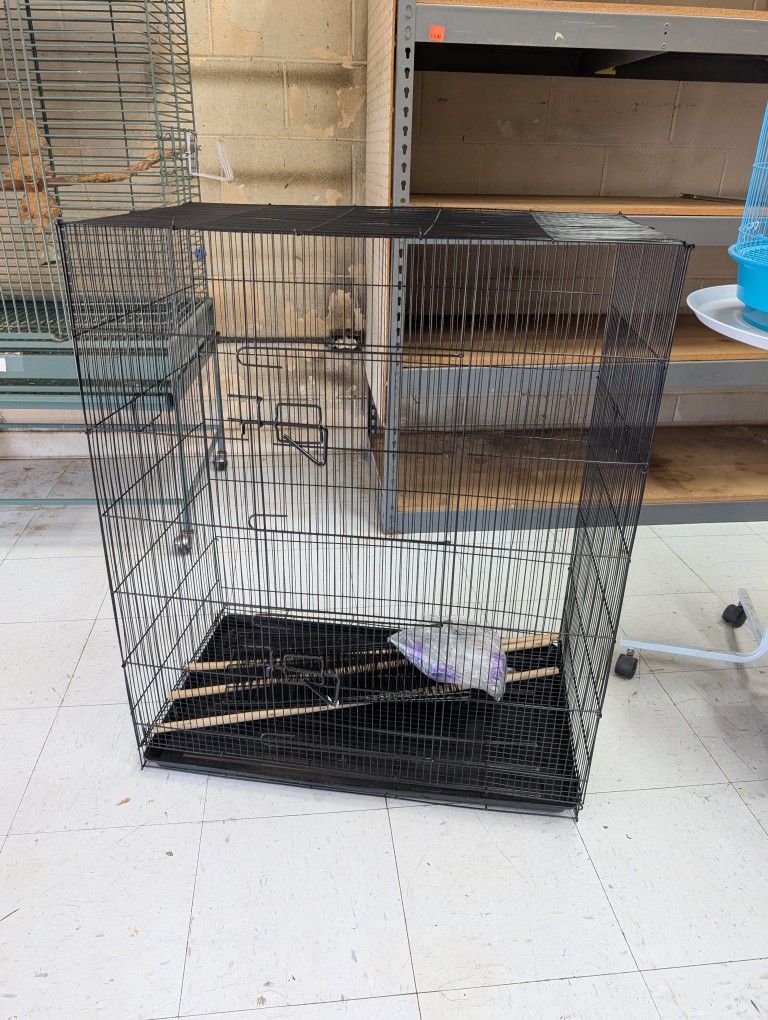 Bird Cage
