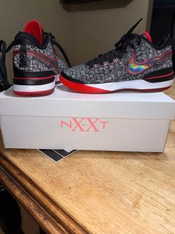 Zoom LeBron  nxxt Gen