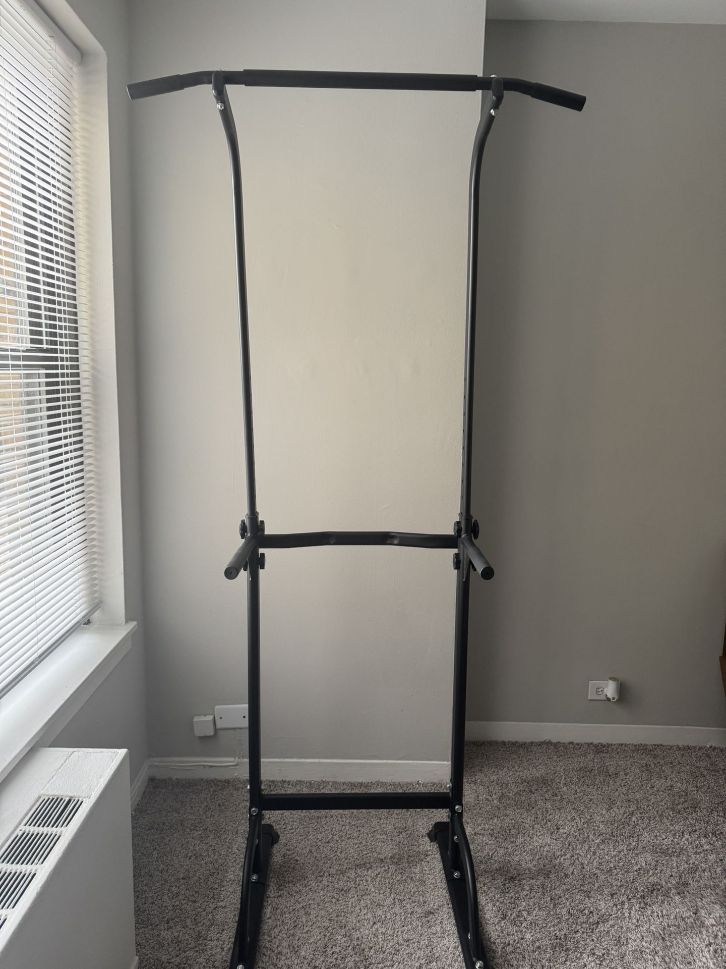 Pull Up/dip Station
