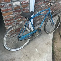 Beach Cruiser Classic