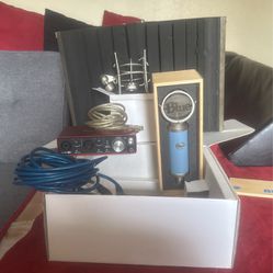 Blue Microphones Bluebird SL Large-Diaphragm Studio Condenser Microphone & Focusrite Scarlett 2i2 (1st Gen) USB Recording Audio Interface 
