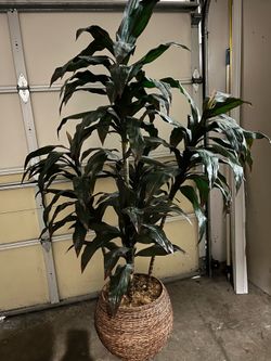 Faux plant